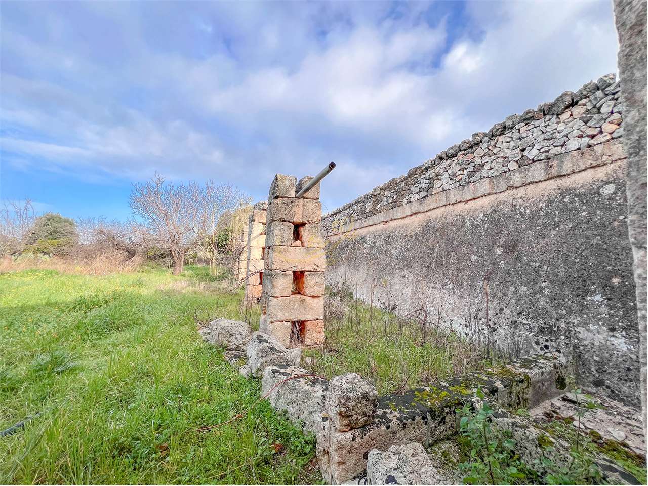 immagine annuncio 14 di 15