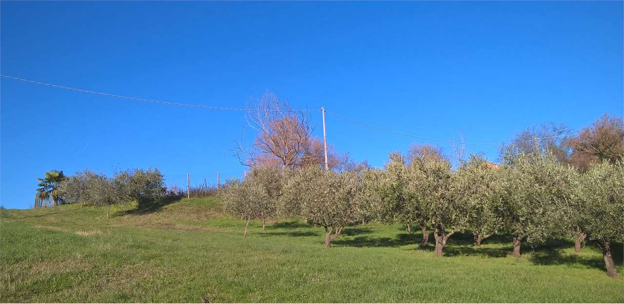 Fotografia Terreno Residenziale piccola 2