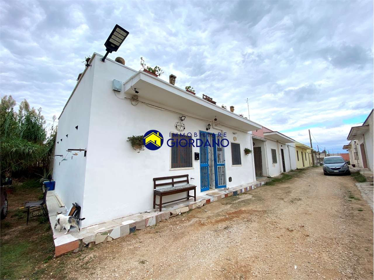 immagine annuncio 1 di 14