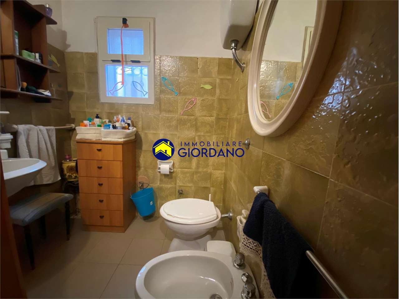 immagine annuncio 6 di 14