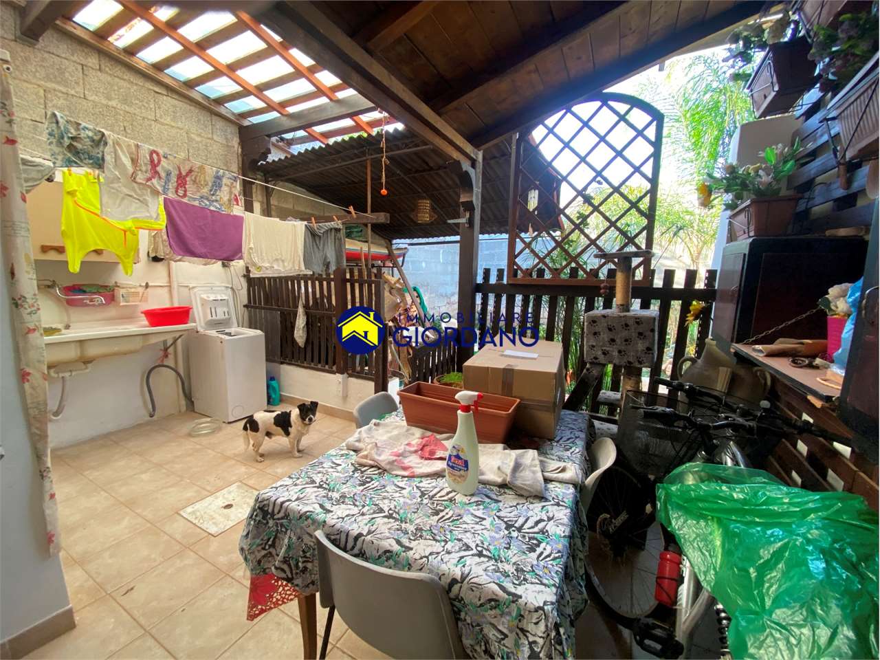 immagine annuncio 8 di 14