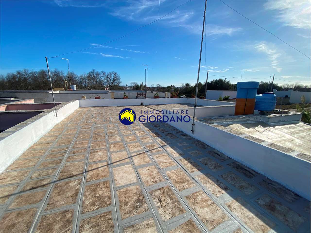 immagine annuncio 12 di 14