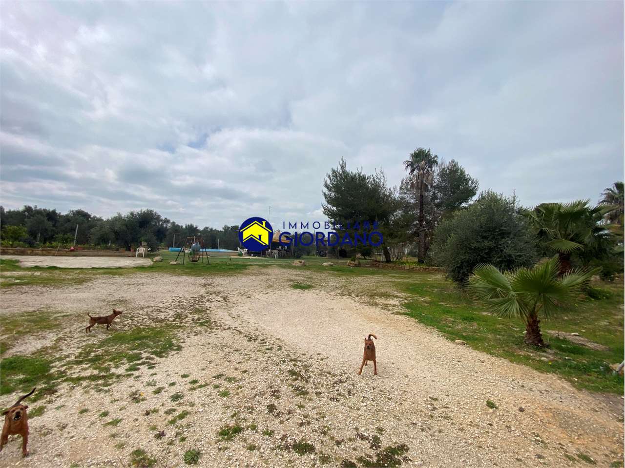 immagine annuncio 3 di 13