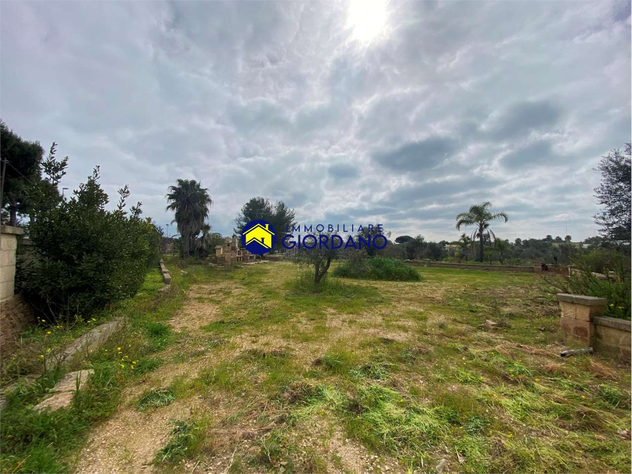 immagine annuncio 7 di 13