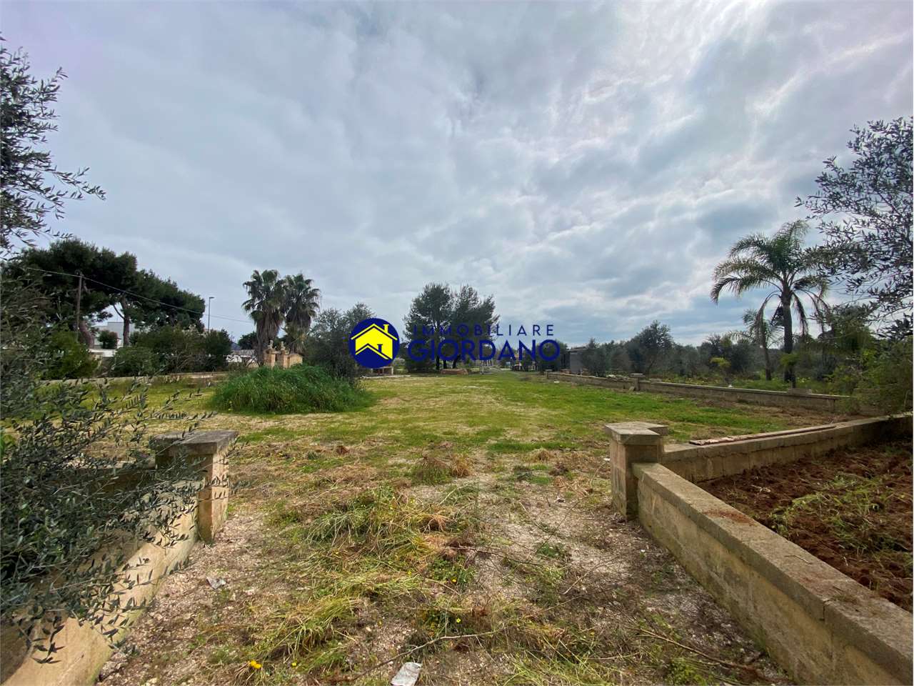 immagine annuncio 9 di 13