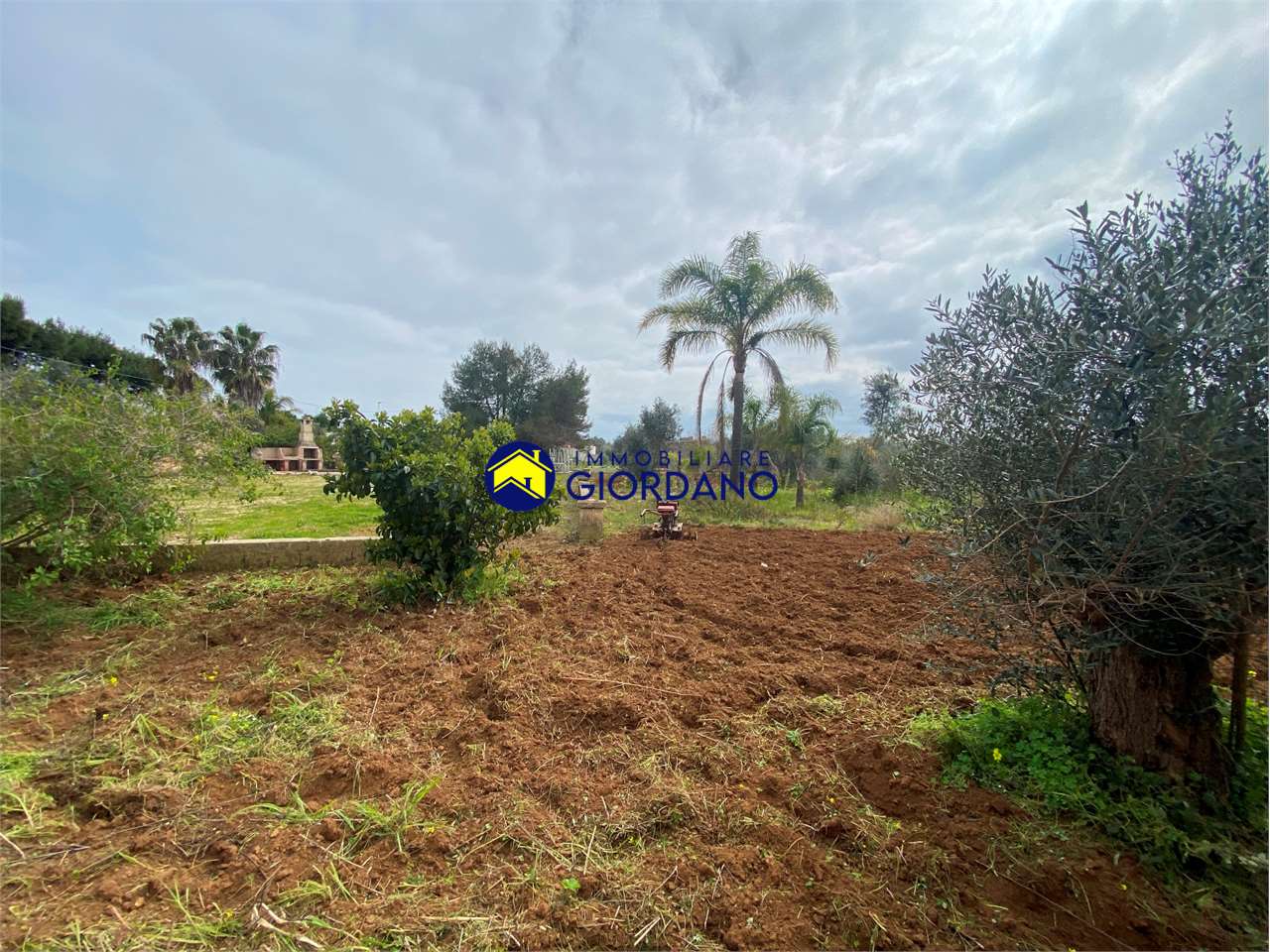 immagine annuncio 10 di 13