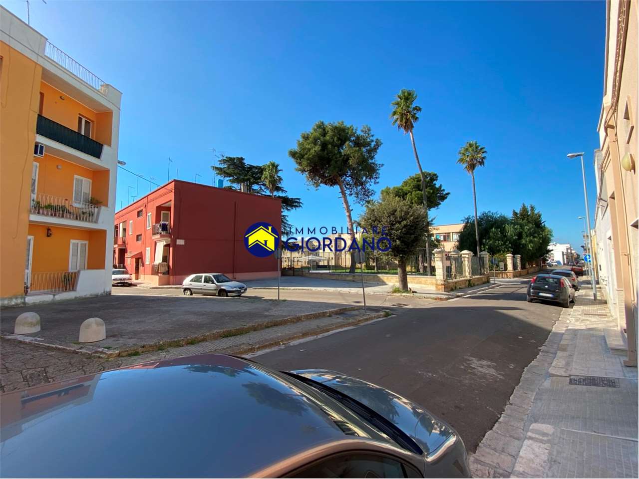 immagine annuncio 1 di 14