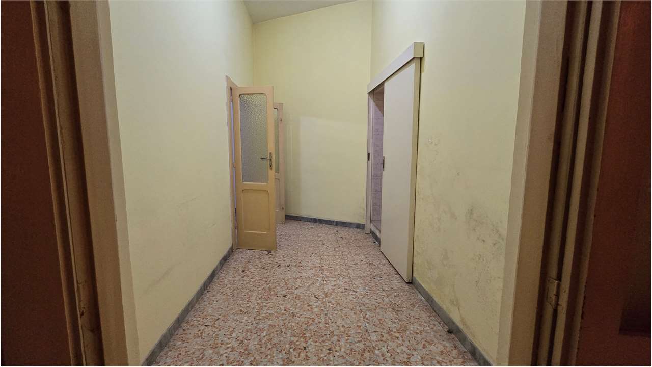immagine annuncio 5 di 14