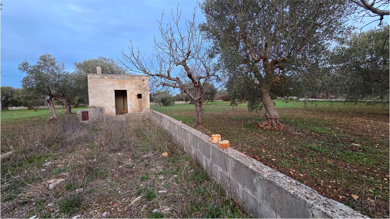 immagine annuncio 2 di 8