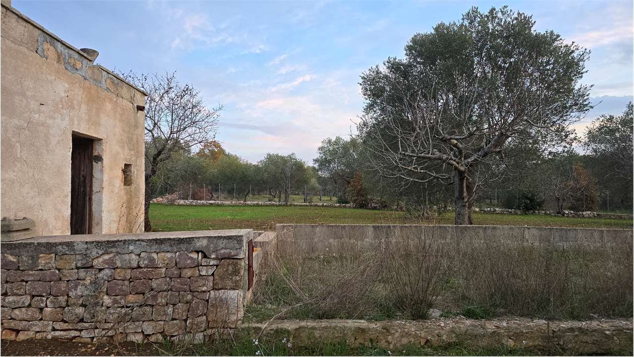 immagine annuncio 3 di 8
