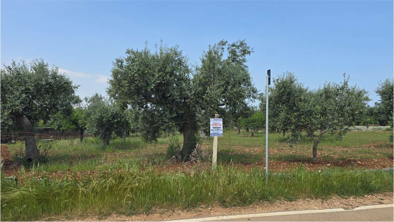 immagine annuncio 1 di 2
