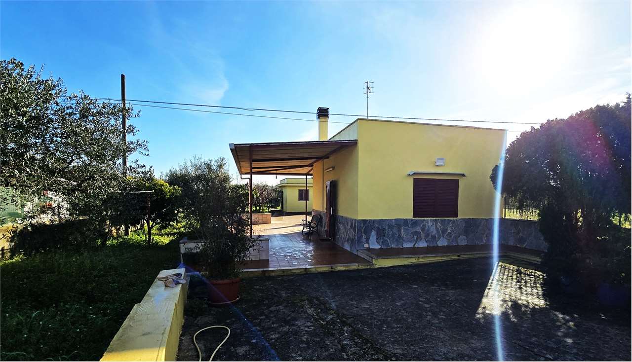 immagine annuncio 1 di 13