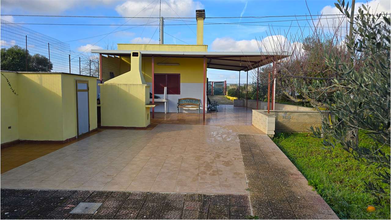 immagine annuncio 14 di 15