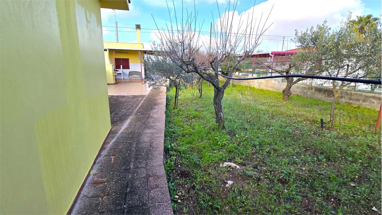 immagine annuncio 12 di 13