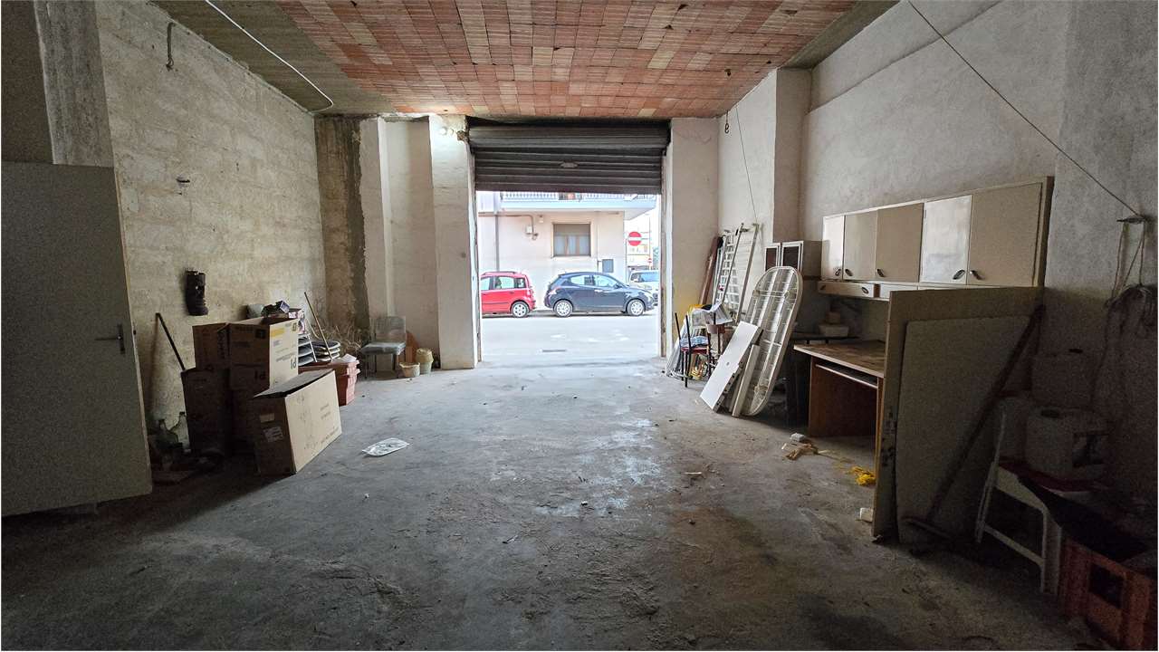 immagine annuncio 12 di 15