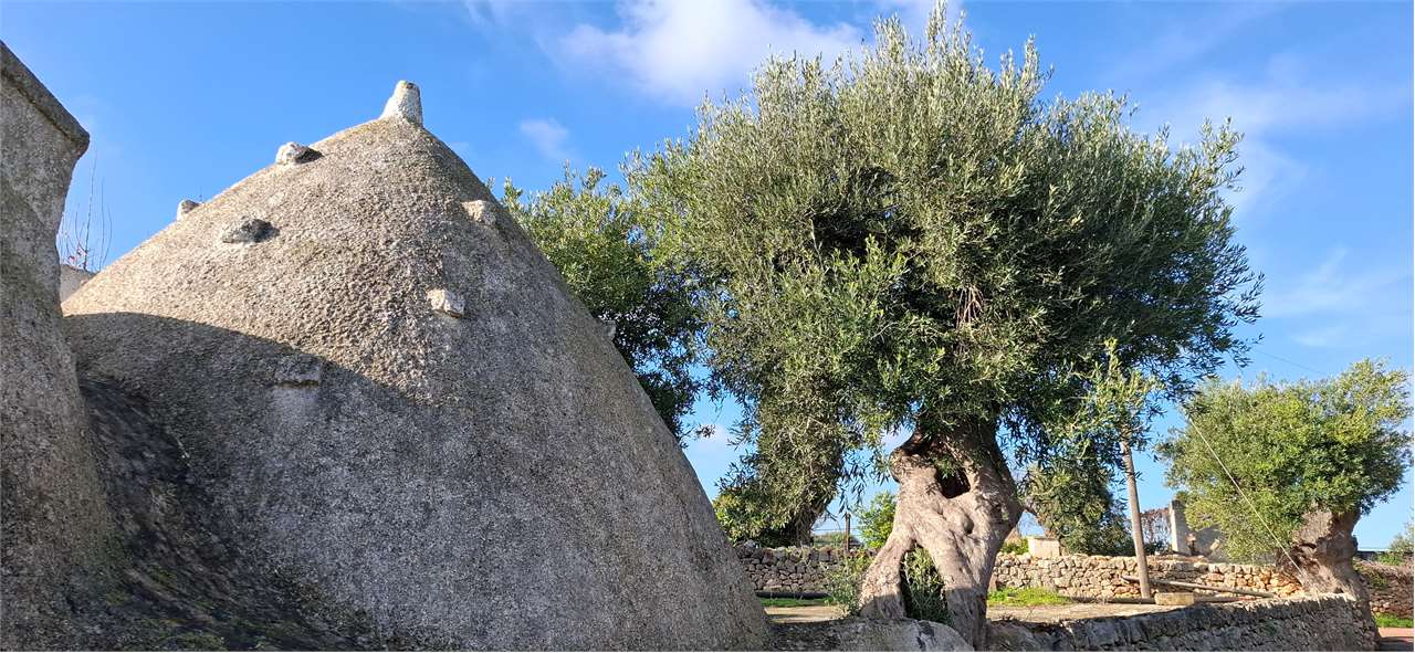 immagine annuncio 1 di 10
