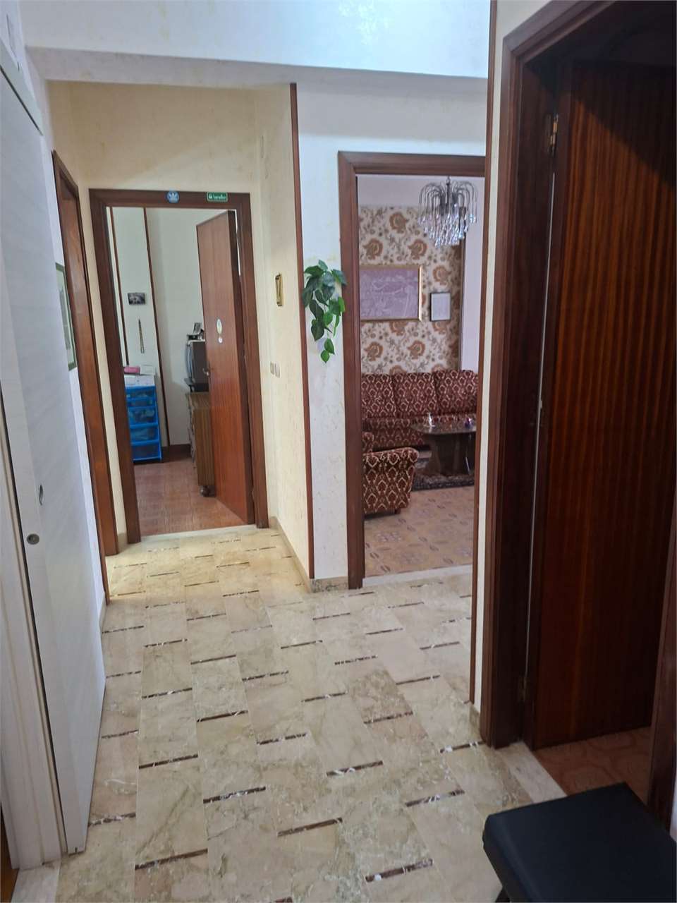 immagine annuncio 2 di 4