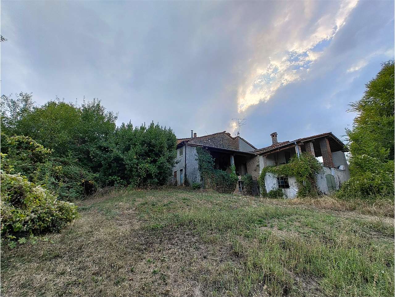 immagine annuncio 14 di 15