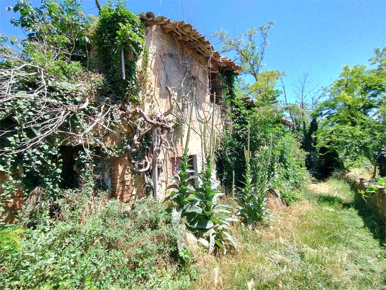 immagine annuncio 1 di 8