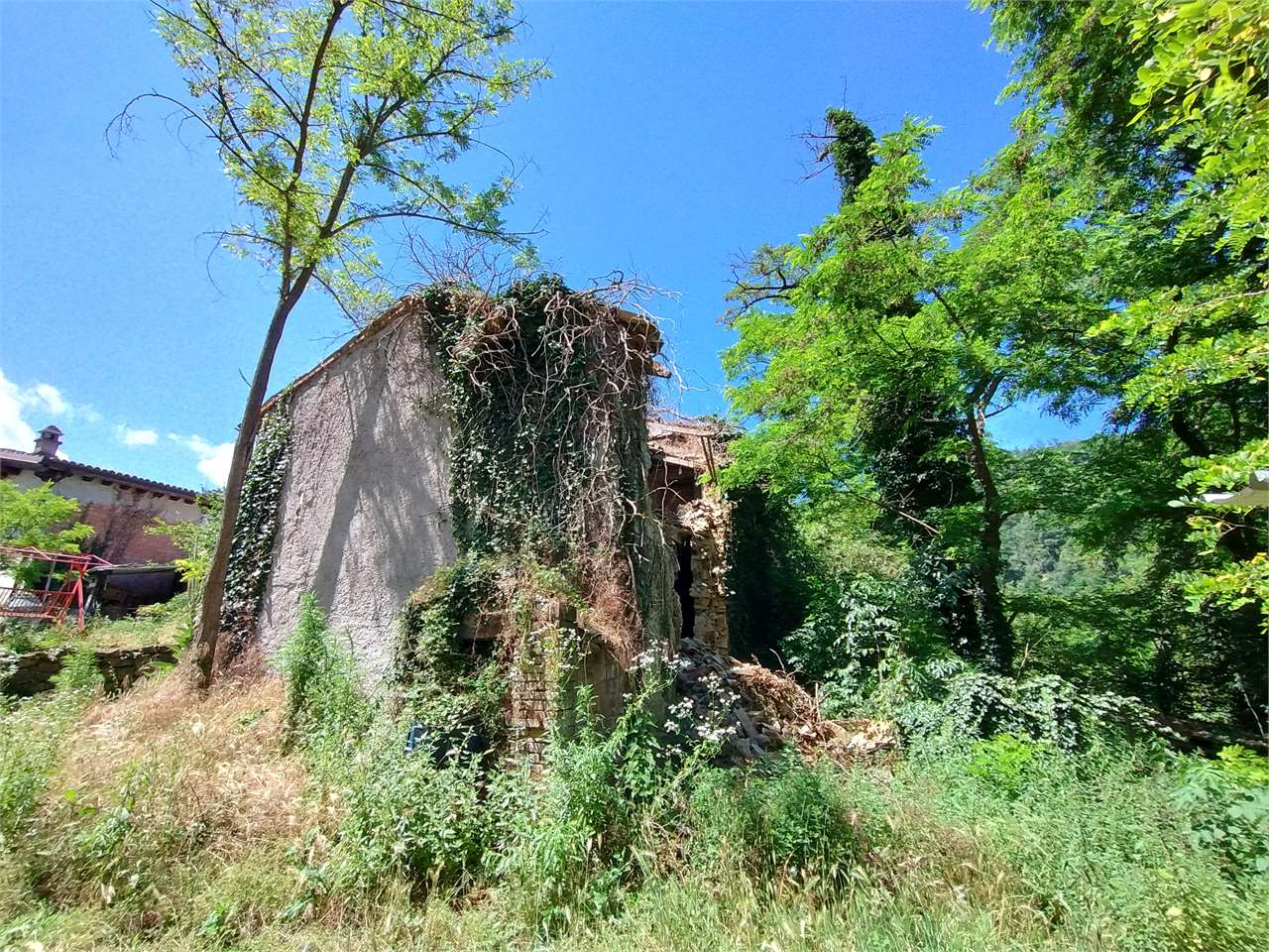 immagine annuncio 2 di 8