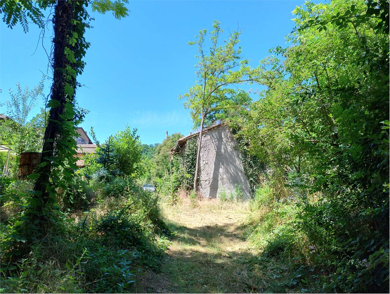 immagine annuncio 3 di 8