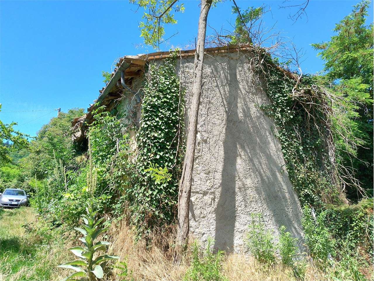 immagine annuncio 4 di 8