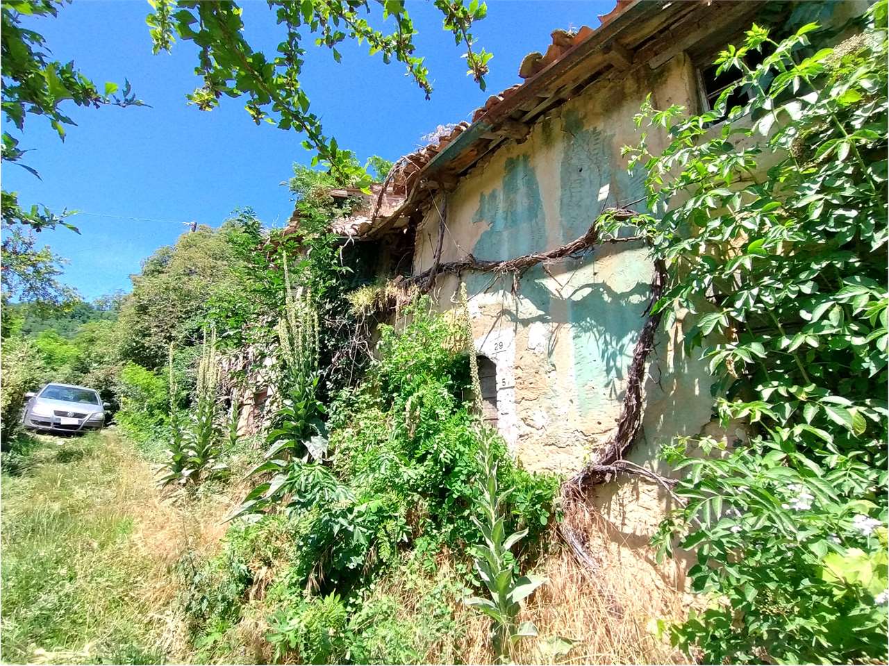 immagine annuncio 5 di 8