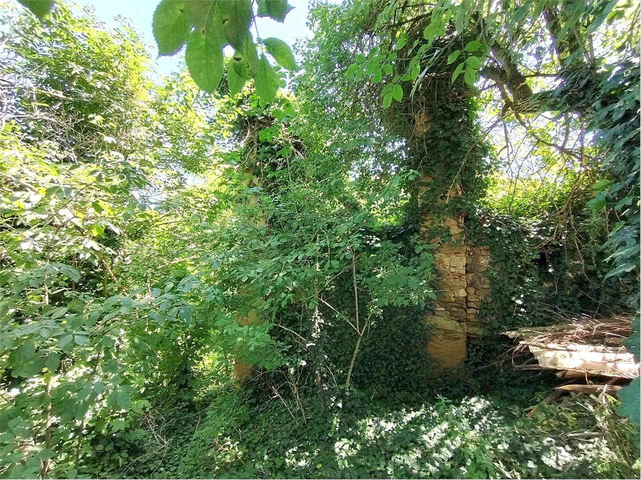 immagine annuncio 6 di 8