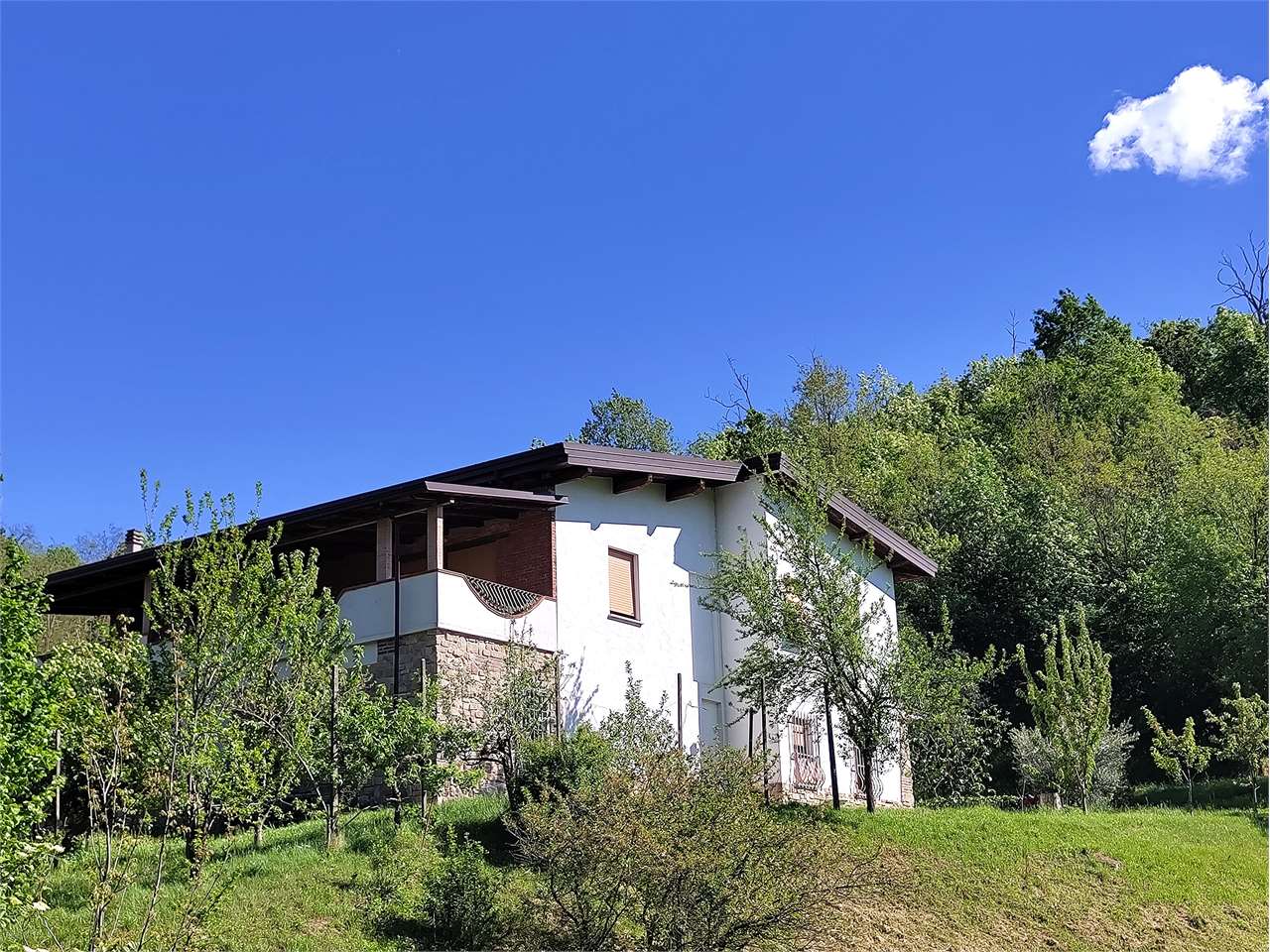 immagine annuncio 13 di 15
