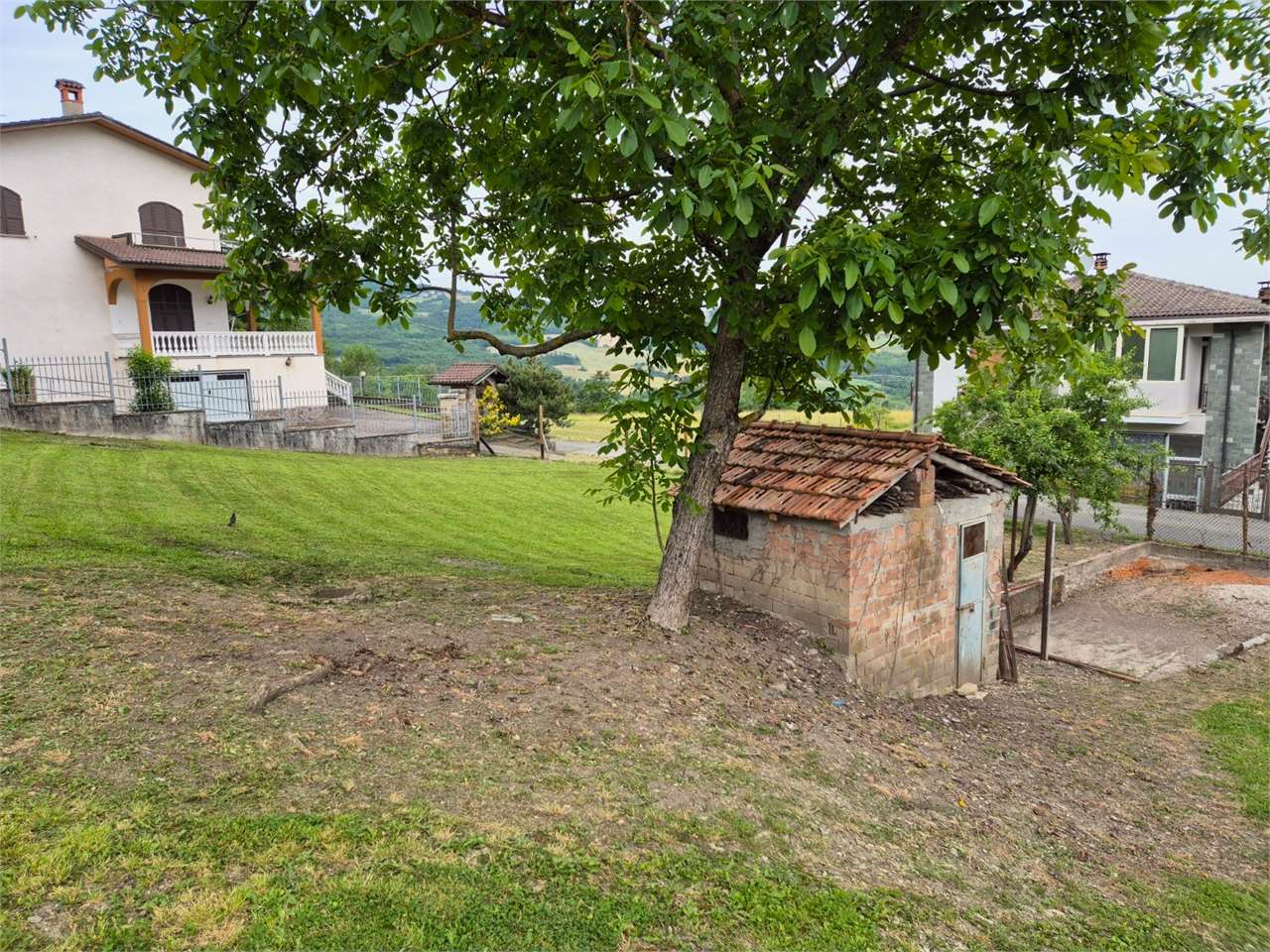 immagine annuncio 3 di 8