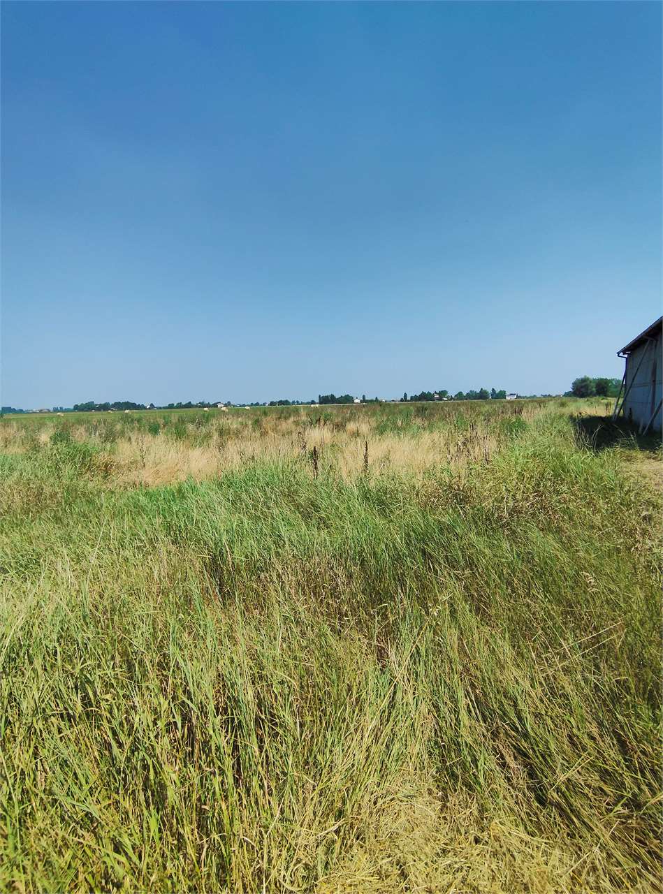 immagine annuncio 4 di 6