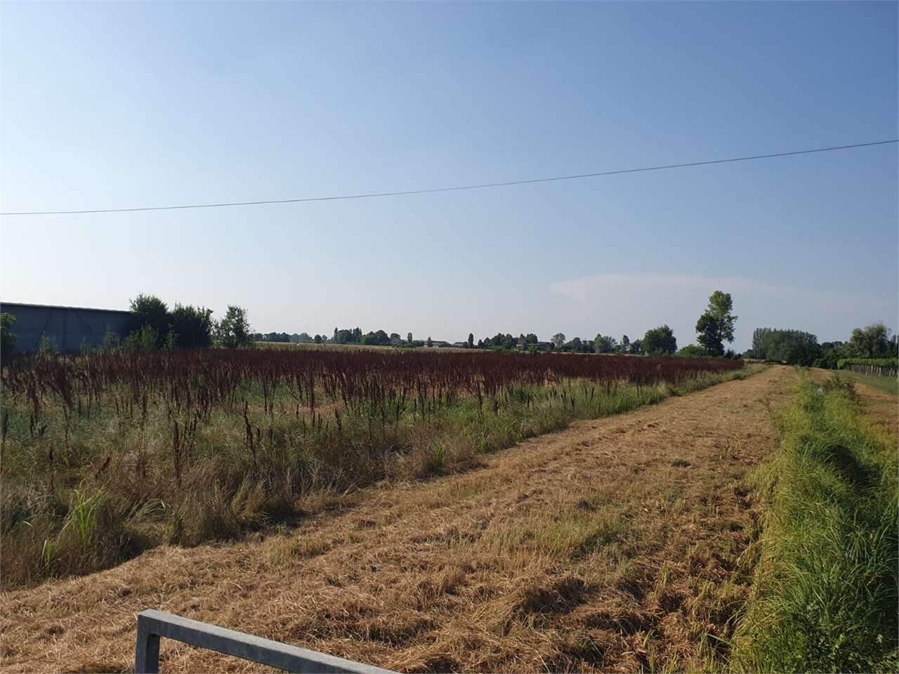 immagine annuncio 1 di 6