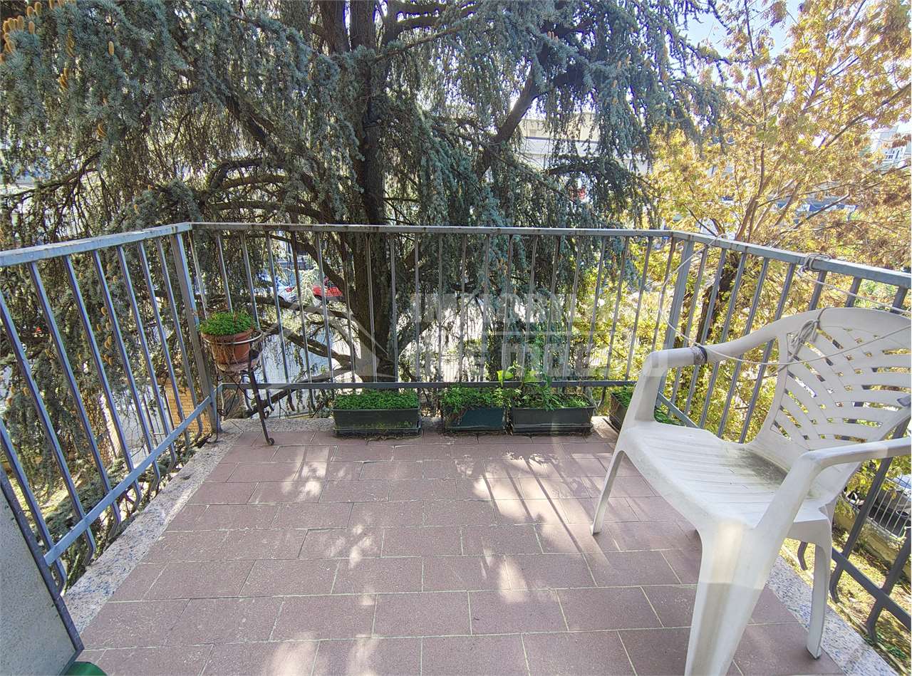 immagine annuncio 3 di 12