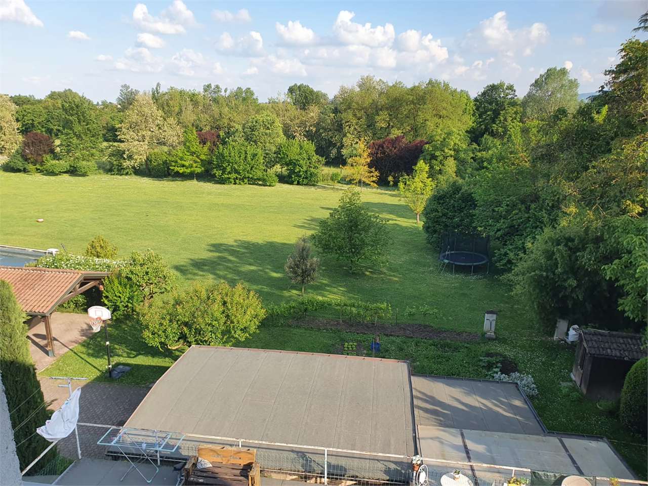 immagine annuncio 11 di 13