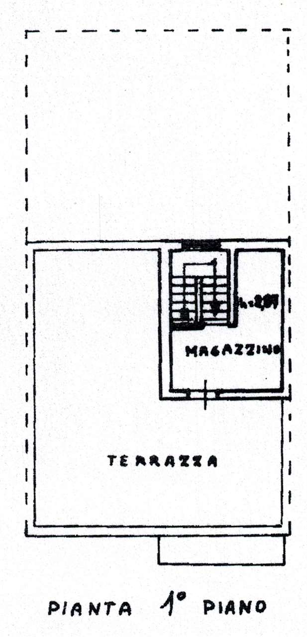 immagine annuncio 10 di 11