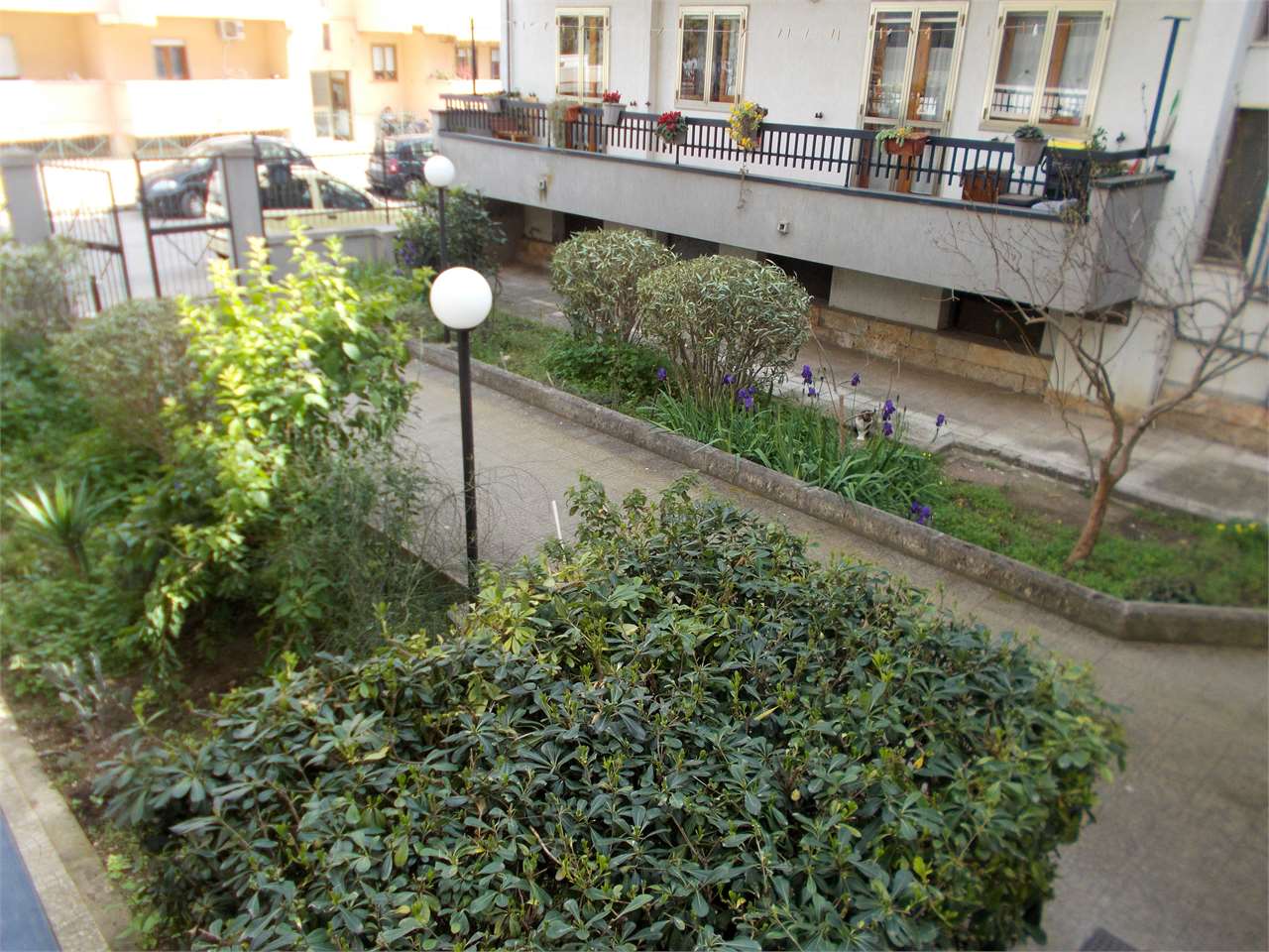 immagine annuncio 2 di 14