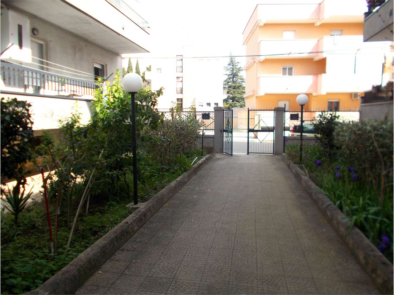 immagine annuncio 4 di 14