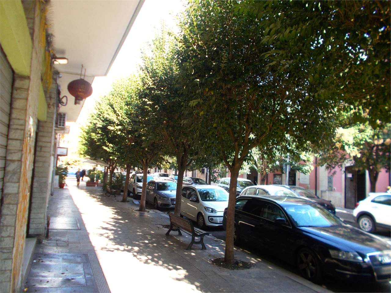 immagine annuncio 1 di 6