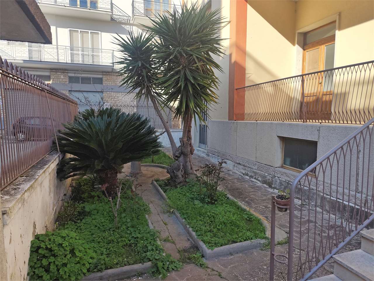 immagine annuncio 3 di 14