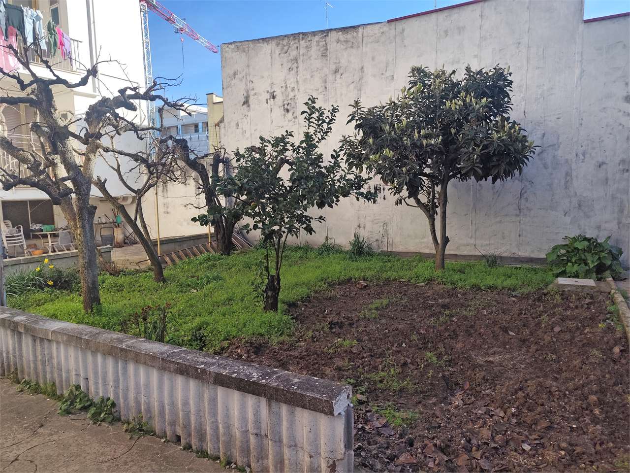 immagine annuncio 6 di 14