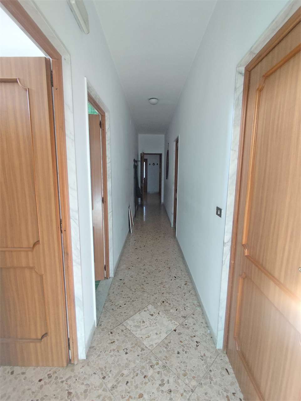 immagine annuncio 8 di 14