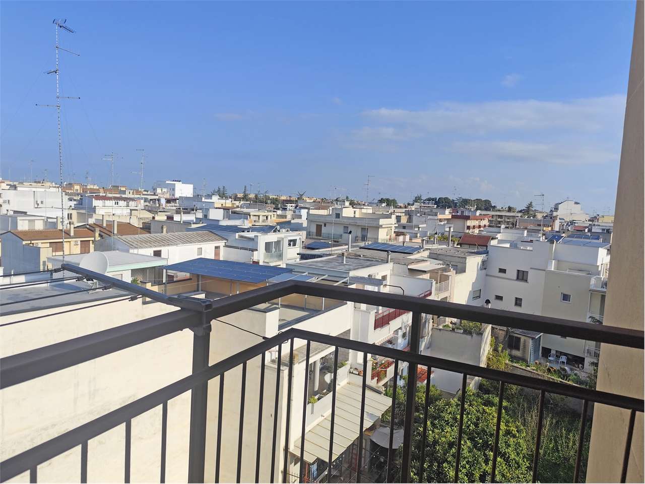 immagine annuncio 9 di 14