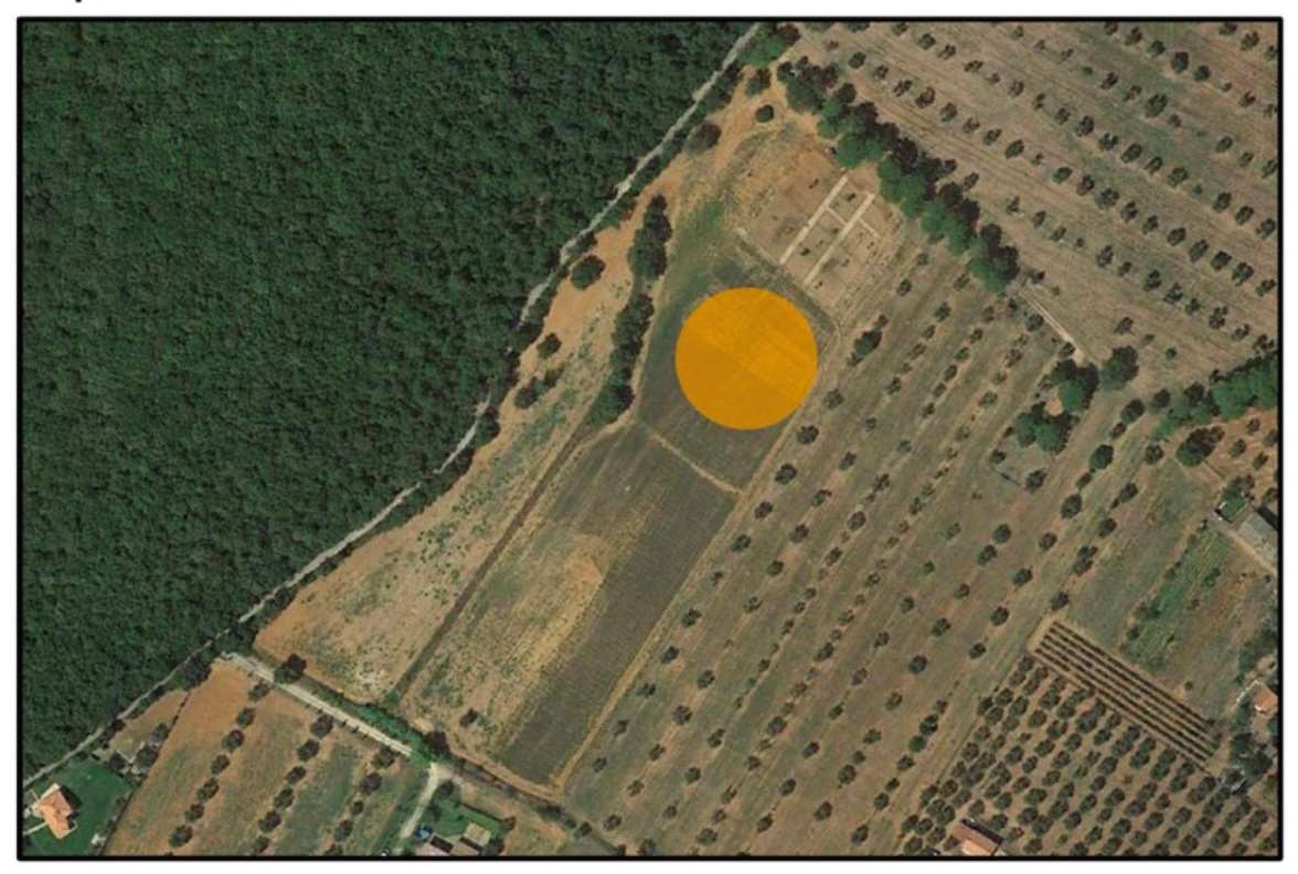 VENDESI TERRENO AGRICOLO IRRIGUO IN BATIGNANO (GR)