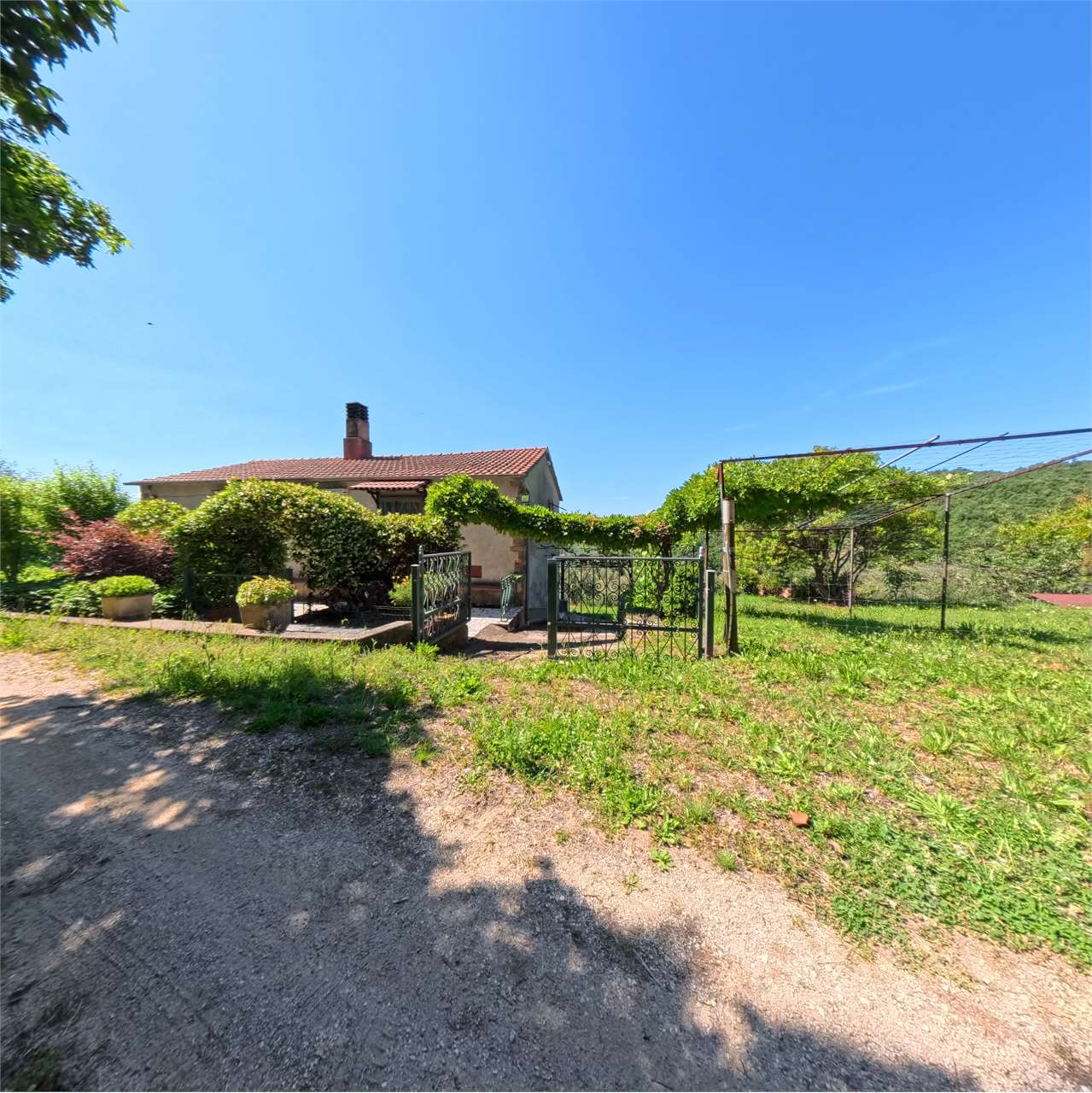 Incantevole Casa di Campagna Panoramica a Scansano – Pronta da Abitare, a due passi da Sat