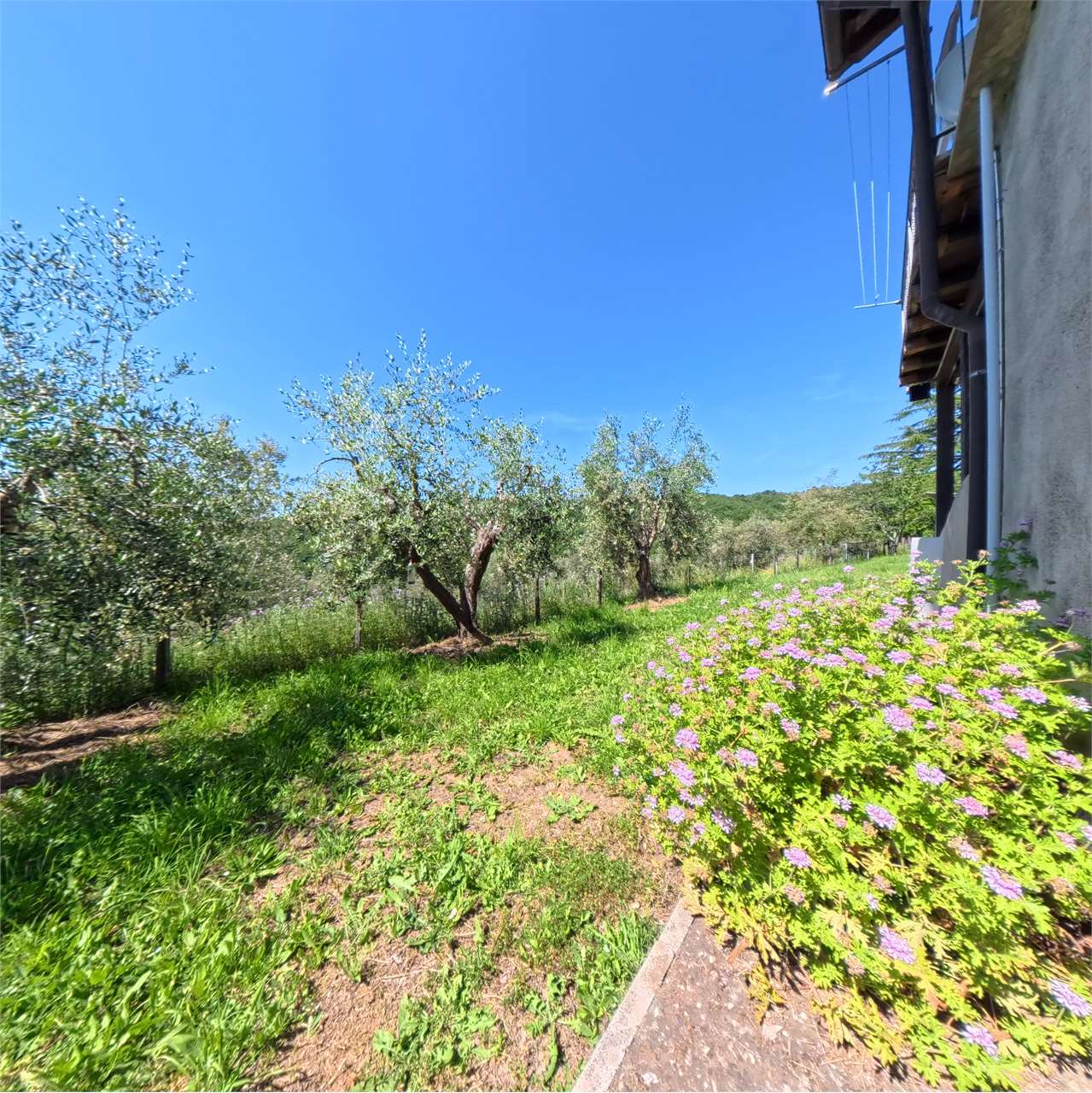 Foto 41
