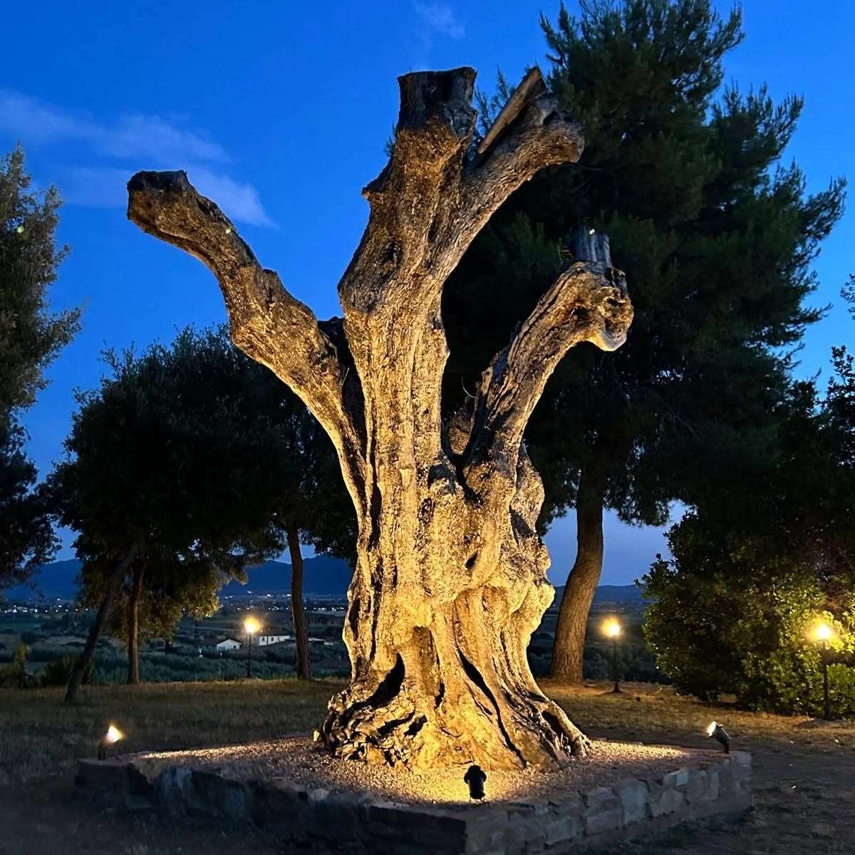Foto 48
