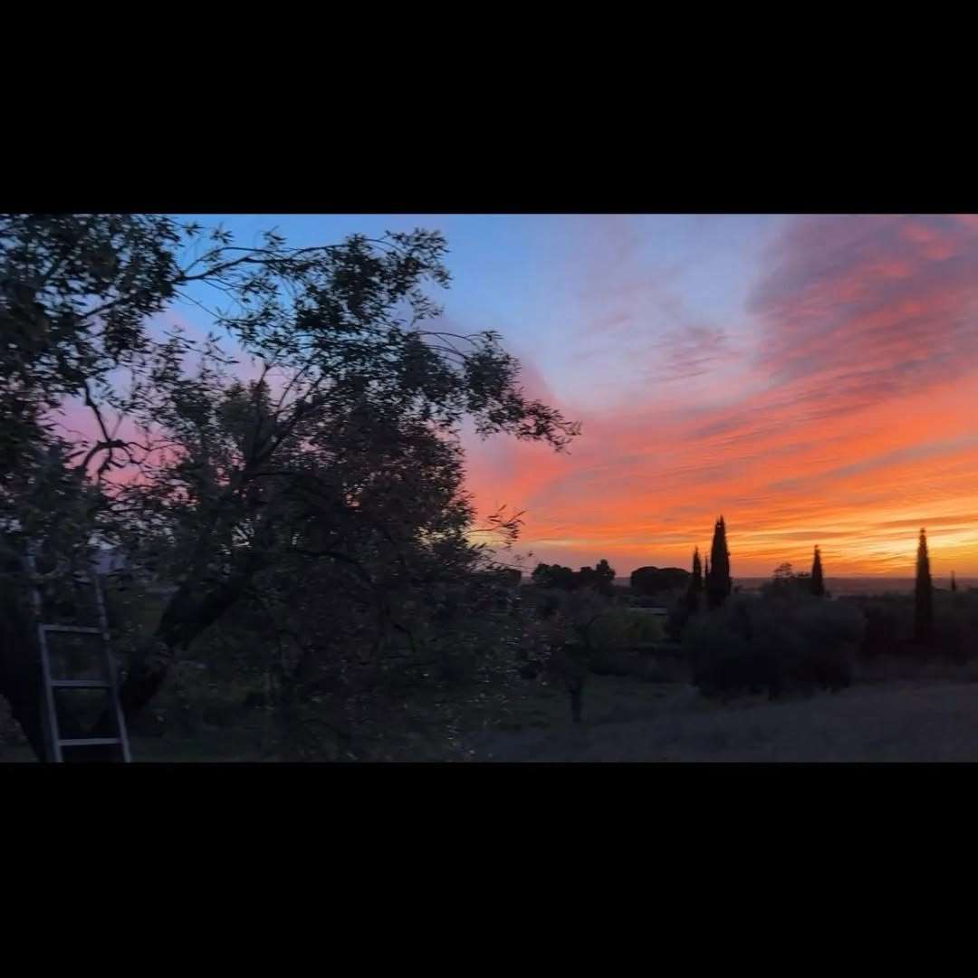 Foto 46