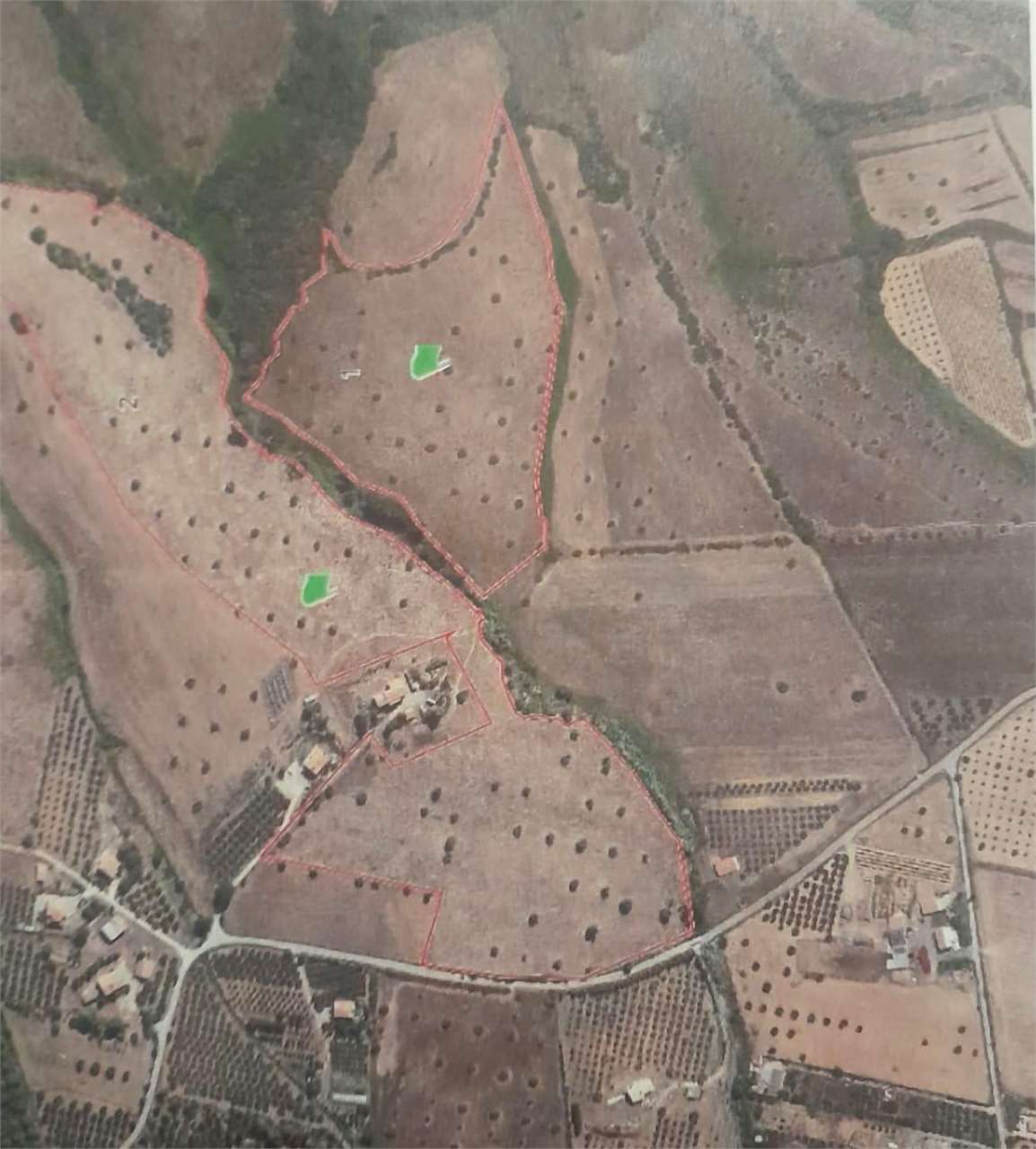 Foto 51