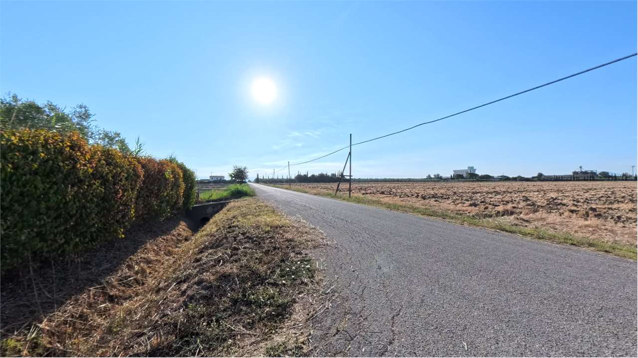 Porzione di Podere Indipendente tra Grosseto e il Mare