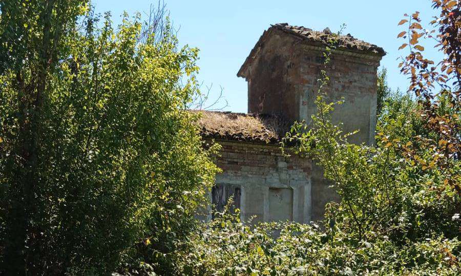 immagine annuncio 2 di 4